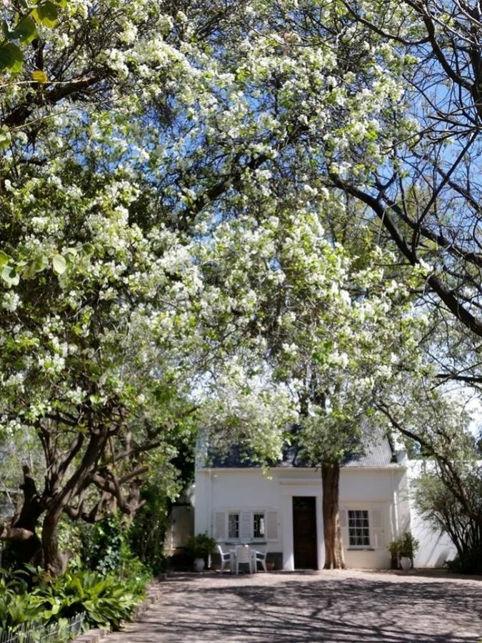 Little Green World Beaufort West Extérieur photo