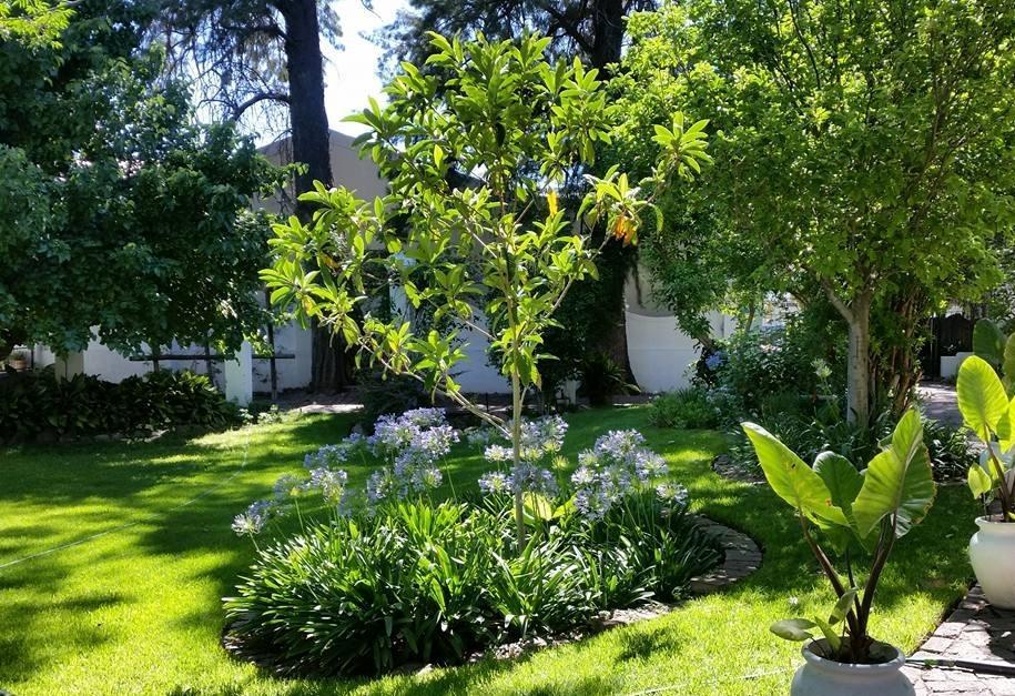 Little Green World Beaufort West Extérieur photo